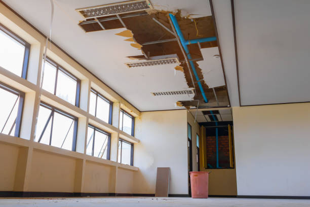 Best Flood damage cleanup  in Winona, MS