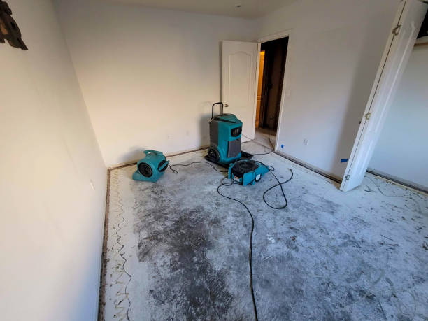 Best Water damage repair service  in Winona, MS