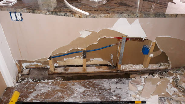 Best Fire Damage Restoration  in Winona, MS